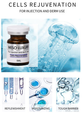 Derma Injektionsserum Exosomen Injektion Zellen Verjüngung MESO LUXURY Mesotherapie