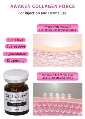 Jugend-Kollagen-Mesotherapie-Serum-Set 5 ml Injektionsmittel Anti-Aging Injektionsmittel