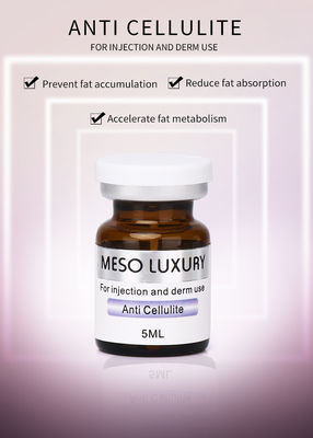 Mesoanticellulite-Serum, das verlierender Gewichts-Bauch-fettes brennendes Serum abnimmt