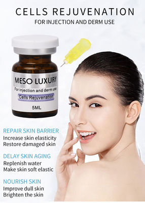 Derma Injektionsserum Exosomen Injektion Zellen Verjüngung MESO LUXURY Mesotherapie
