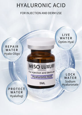 Eigenmarken-befeuchtende Hyaluronsäure-Serum-Einspritzungen Luxus-Mesotherapy-Einspritzungen für jüngeres Gesicht