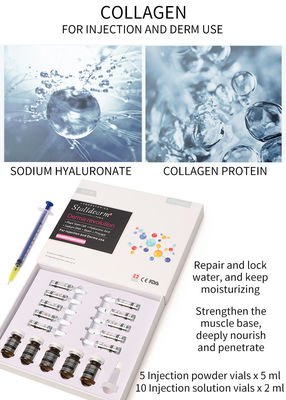 Injektionsfähige Kollagen-Mesotherapie-Lösung Exosomen-Skin-Booster-Dermal-Filler