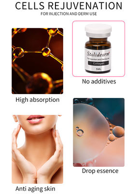 Injektionsfähige Kollagen-Mesotherapie-Lösung Exosomen-Serum-Set Skin Booster